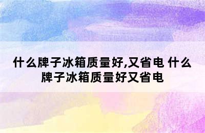 什么牌子冰箱质量好,又省电 什么牌子冰箱质量好又省电